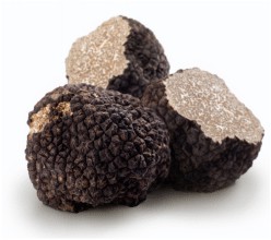 Tartufo nero - Robaldo Tartufi